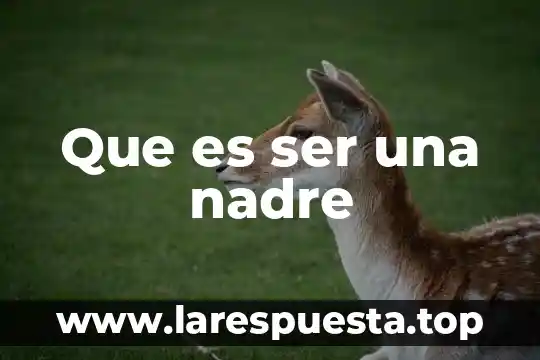 Que es ser una nadre