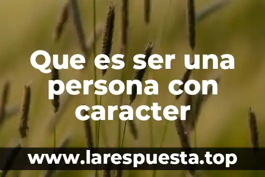 Que es ser profesional sostenible 5 Que es ser una persona con caracter