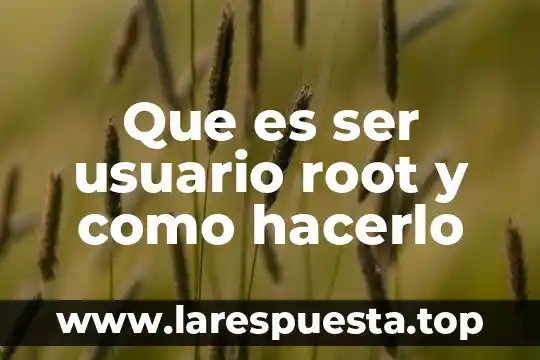 Que es ser usuario root y como hacerlo