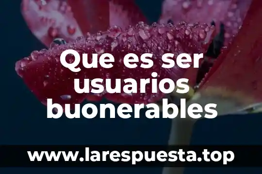 Que es ser usuarios buonerables