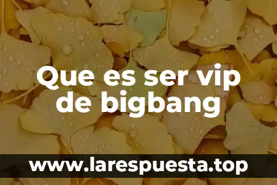 Que es ser vip de bigbang