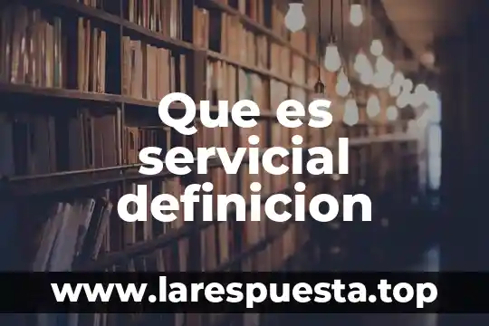 Que es servicial definicion