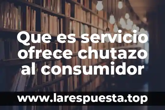 Que es lo mejor que me ofrece la ingenieria civil 3 Que es servicio ofrece chutazo al consumidor