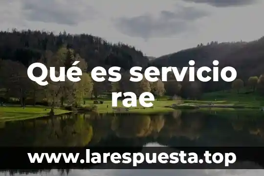 Que es la disciplina segun la rae 4 Qué es servicio rae