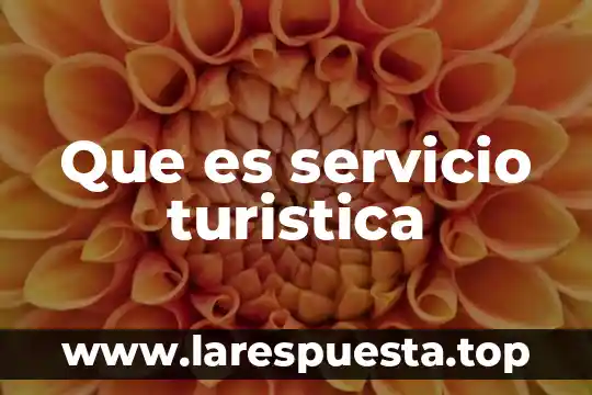 Qué es el servicio de saque en voleibol 3 Que es servicio turistica