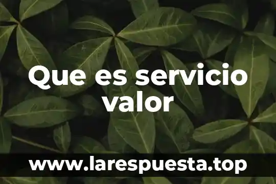 Que es servicio valor