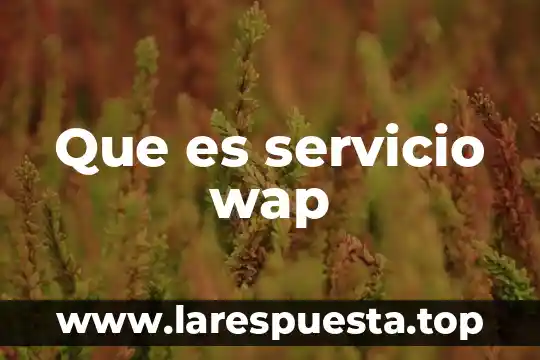 Qué es un cuadrilátero y ejemplos 3 Que es servicio wap