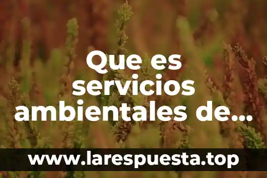 Que es servicios ambientales de cultura