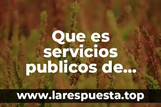 Que es servicios publicos de saneamiento