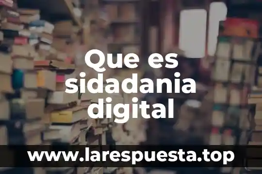 Que es sidadania digital