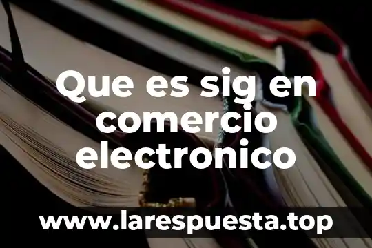 Que es sig en comercio electronico