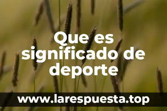 Que es significado de deporte