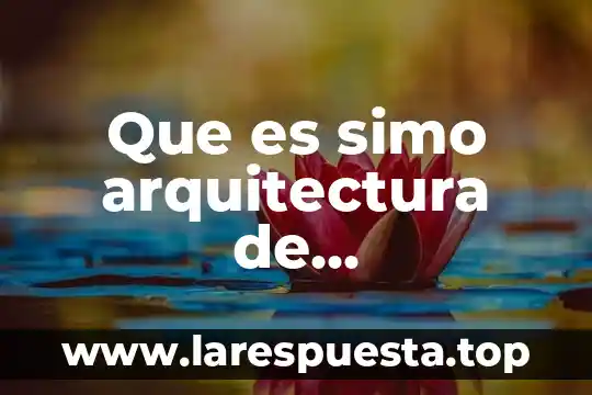Qué es DDT en arquitectura de computadoras 7 Que es simo arquitectura de computadoras