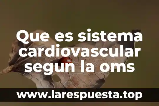 Que es sistema cardiovascular segun la oms