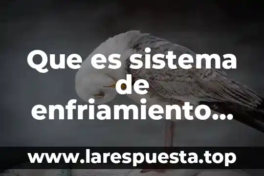 Que es un sistema adiabatico 5 Que es sistema de enfriamiento cenital