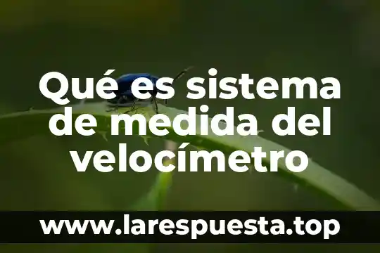 Que es teorias de la medida psicológia 4 Qué es sistema de medida del velocímetro