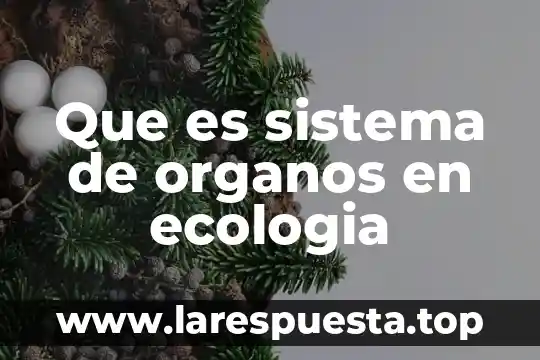 Sistema de nombre de dominio que es 8 Que es sistema de organos en ecologia