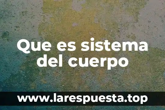 Que es sistema del cuerpo