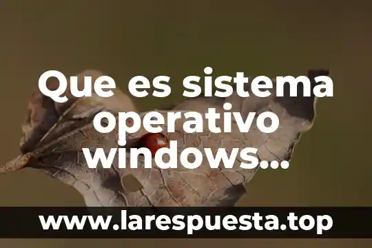 Que es sistema operativo windows server 2019 datacenter