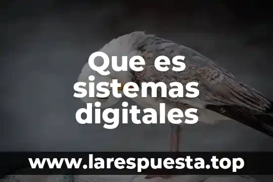 Que es un inventario de sistemas 3 Que es sistemas digitales