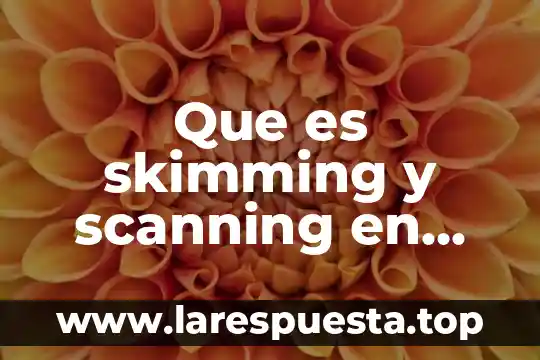 Que es skimming y scanning en ingles
