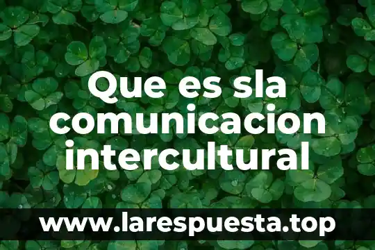 Que es sla comunicacion intercultural