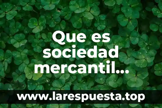 Que es sociedad mercantil autores
