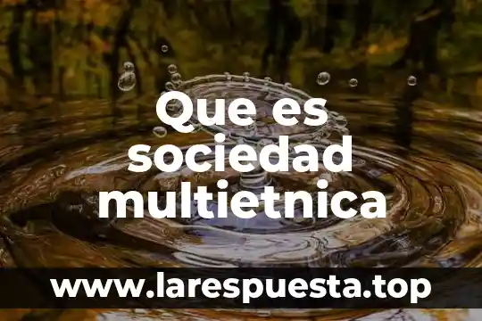 Que es sociedad multietnica
