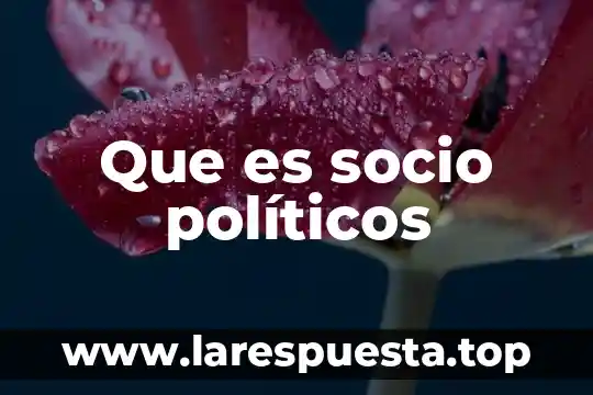 Que es un sistemas politicos 4 Que es socio políticos