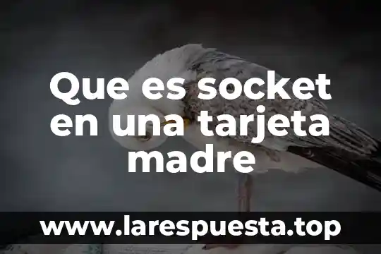 Que es socket en una tarjeta madre