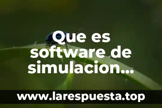 Qué es una simulación física 6 Que es software de simulacion yahoo