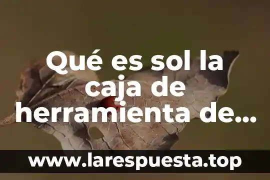 Qué es sol la caja de herramienta de corel draw