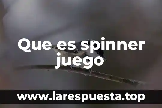 Que es juego cooperativo y juego colaborativo 5 Que es spinner juego