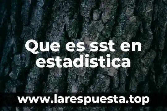 Que es sst en estadistica