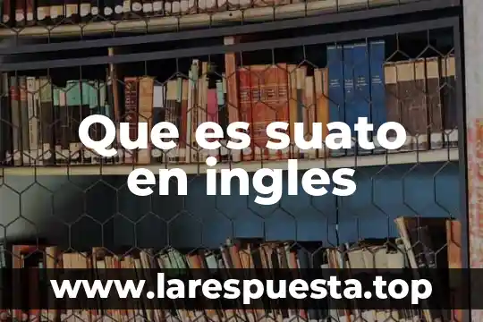 Bullets que es ingles 3 Que es suato en ingles