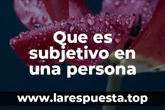 Que es subjetivo en una persona