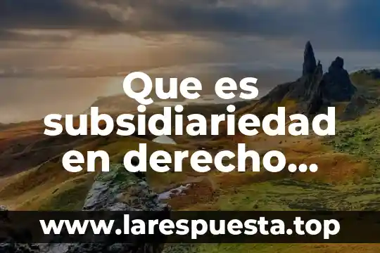 Que es subsidiariedad en derecho constitucional