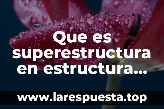 Que es estructura molecular socioeconomica 8 Que es superestructura en estructura socioeconomica