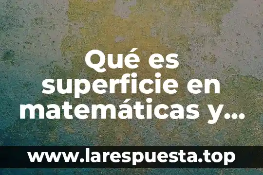 Que es el area de superficie corporal 8 Qué es superficie en matemáticas y ejemplos