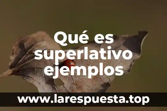 Qué es superlativo ejemplos
