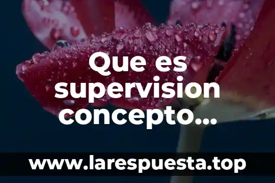 Que es supervision concepto objetivos y tipos