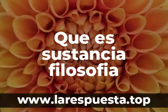 Que es sustancia filosofia