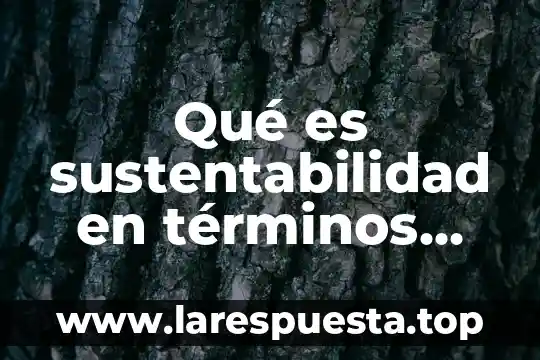 Qué es un cuadernal en términos marineros 3 Qué es sustentabilidad en términos macroeconómicos