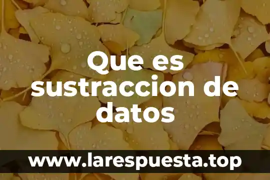 Que es un pasaporte con sus datos 8 Que es sustraccion de datos