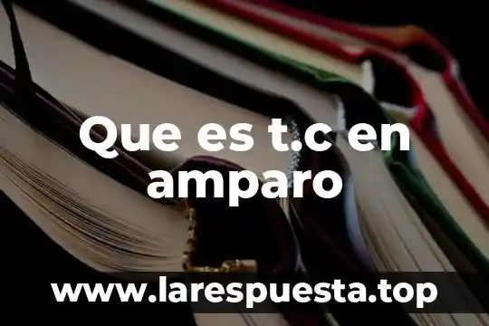 Que es t.c en amparo