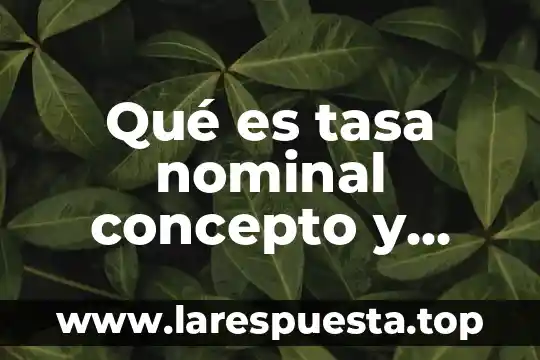 Asertividad que es significado y concepto 7 Qué es tasa nominal concepto y fórmula
