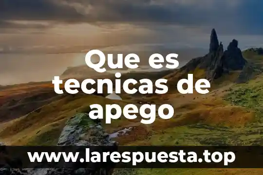 Que es tecnicas de apego