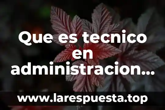 Que es un oficio en administracion 3 Que es tecnico en administracion bancaria y financiera