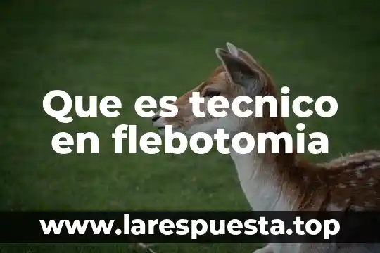 Qué es secretario técnico 8 Que es tecnico en flebotomia