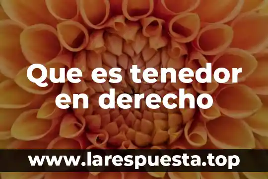 Qué es el punto de saturación de la fibra 8 Que es tenedor en derecho